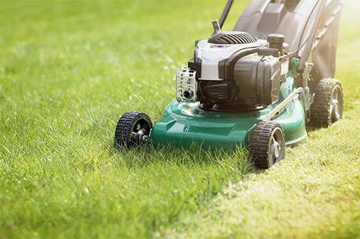 Lawn Care 